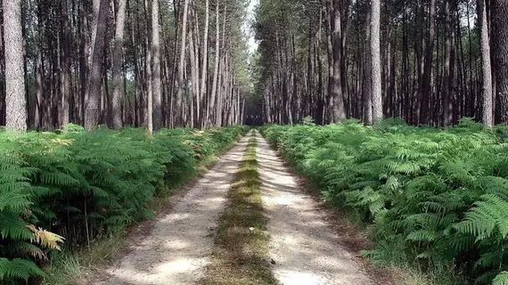 Reve en famille | Nouvelle-Aquitaine - Landes (bölge) - Gastes