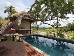 Temuku Villas Ubud | Bali - Ubud - Kedewatan