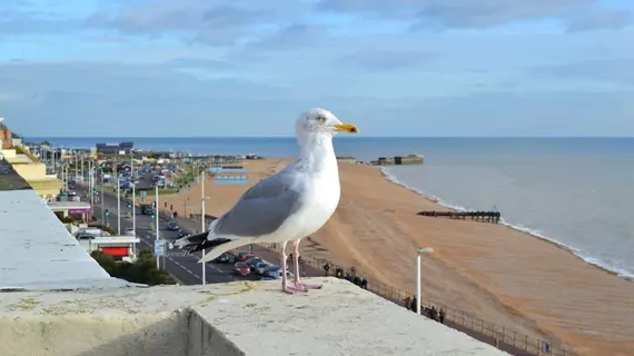 The Lindum | Doğu Sussex (kontluk) - Hastings