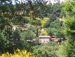 Agriturismo Le Maceie | Toskana - Arezzo (vilayet) - Castiglion Fiorentino