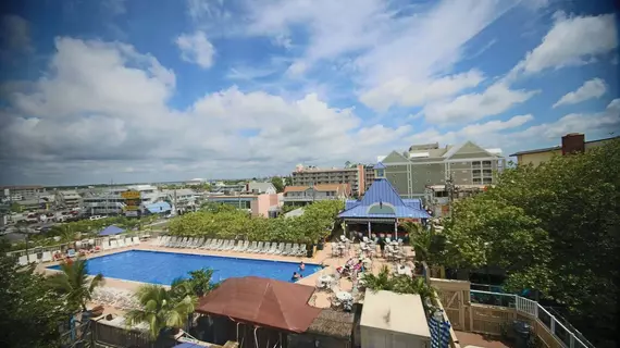 Plim Plaza Hotel | Maryland - Ocean City (ve civarı) - Ocean City