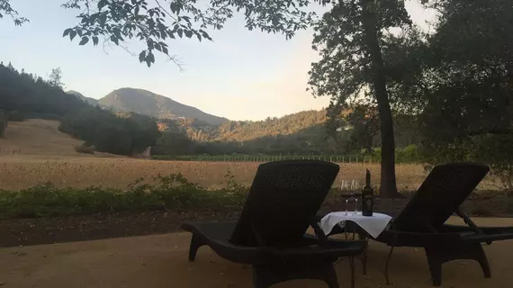 Villa Mimosa B&B | Kaliforniya - Sonoma İlçesi - Calistoga