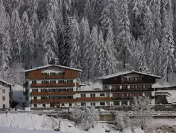 Hotel Des Alpes | Veneto - Belluno (vilayet) - Cortina d'Ampezzo