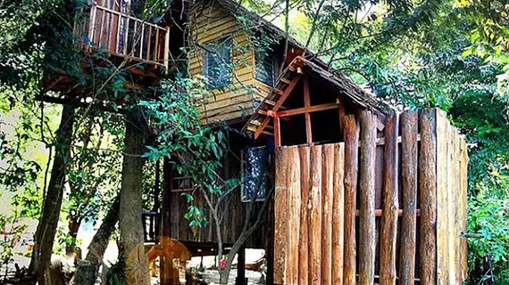 Rabeang Pasak Treehouse Resort | Chiang Mai İli - Doi Saket