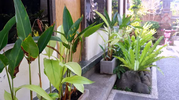 Citrus Tree B&B - Shana | Bali - Ubud - Ubud Kent Merkezi