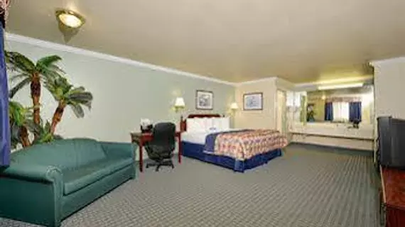 Americas Best Value Inn Hobby Airport | Teksas - Houston (ve civarı) - Houston