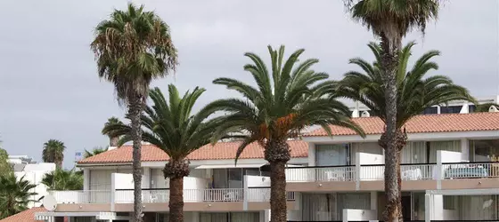 Paradero Apartments | Kanarya Adaları - Santa Cruz de Tenerife - Arona - Playa de las Americas