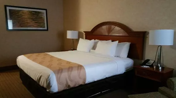 Quality Inn Castleton | Indiana - Indianapolis (ve civarı) - Indianapolis