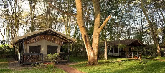 Migunga Tented Camp | Arusha Bölgesi - Manyara Gölü Ulusal Parkı