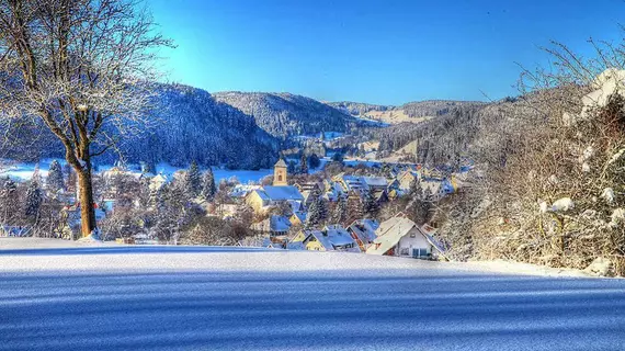 Hotel Schwörer | Baden-Wuerttemberg - Lenzkirch