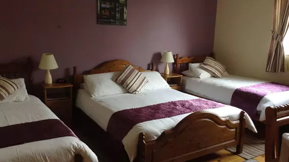 Deerpark Manor Bed and Breakfast | Mayo (kontluk) - Swinford