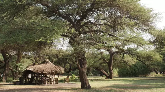 Lake Natron Tented Camp | Arusha Bölgesi - Natron Gölü