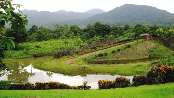 La Anita Rainforest Ranch | Alajuela (ili) - Guayabo