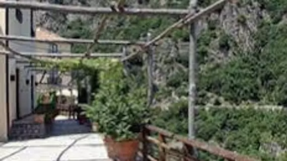 Limoneto Di Ercole | Campania - Salerno (il) - Maiori - Erchie