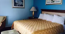 The Venice Palm Inn - Venice | Florida - Sarasota (ve civarı) - Venice