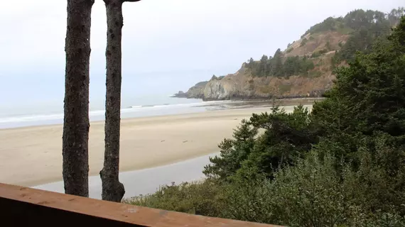 Starfish Point | Oregon - Oregon Coast - Newport - Agate Beach