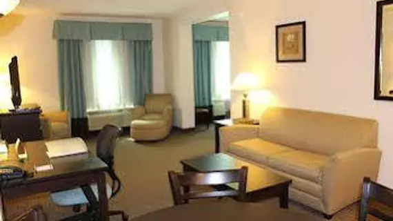 Holiday Inn Express & Suites Mobile West I-10 | Alabama - Mobile (ve civarı) - Mobile