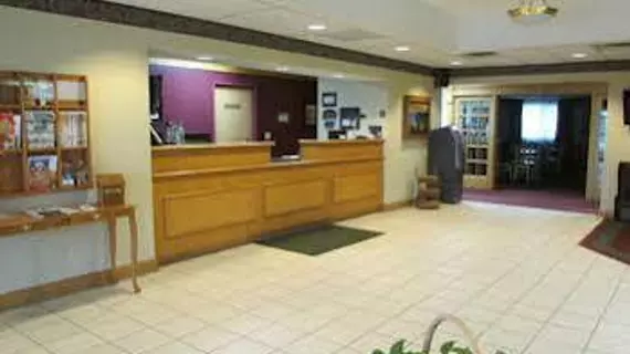 Dollinger's Inn & Suites | New York - Rochester (ve civarı) - Brockport