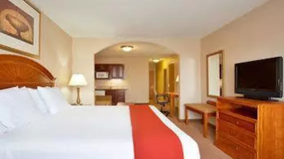 Holiday Inn Express Hotel & Suites Logansport | Indiana - Kokomo (ve civarı) - Logansport