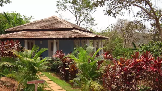 Wildflower Villas | Goa - Kuzey Goa - Marra