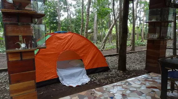 Tent and Breakfast at Irawan Ecopark | Mimaropa - Palawan - Puerto Princesa