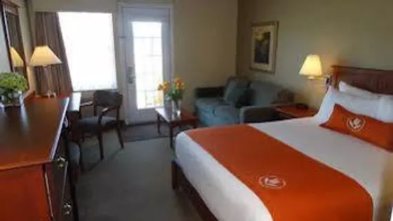 Amsterdam Inn & Suites Moncton | New Brunswick - Moncton (ve civarı) - Moncton