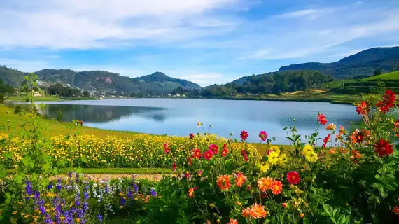 Villa Tea Fields | Merkez Vilayet - Nuwara Eliya Bölgesi - Nuwara Eliya