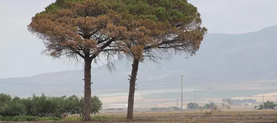 Agriturismo Silos Agri | Puglia - Foggia (il) - San Severo