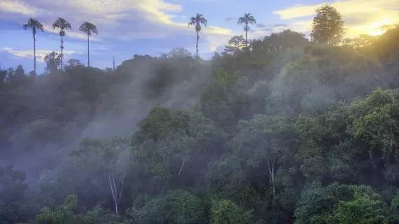 Las Cruces Biological Station | Puntarenas (ili) - San Vito