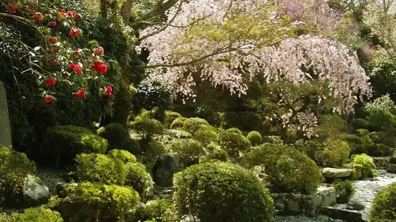 Chikurinin Gunpoen | Nara (idari bölge) - Nara (ve civarı) - Yoshino