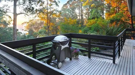 Misty Woods Retreat Olinda | Victoria - Melbourne (ve civarı) - Olinda