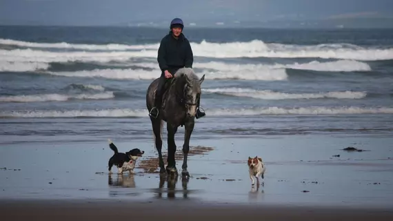 Portbeg Holiday Homes at Donegal Bay | Donegal (kontluk) - Bundoran