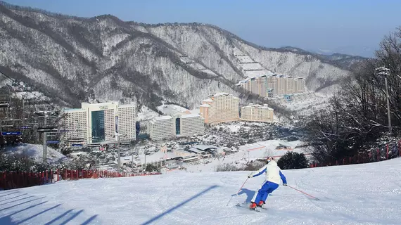 Vivaldi Park | Gangwon - Hongcheon