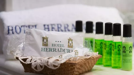 Hotel Herradura | Galicia - La Coruna (vilayet) - Santiago de Compostela - Santiago de Compostela Kent Merkezi