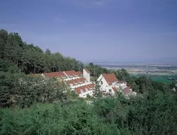 Hotel Husseren Les Chateaux | Grand Est - Haut-Rhin (bölge) - Husseren-les-Chateaux