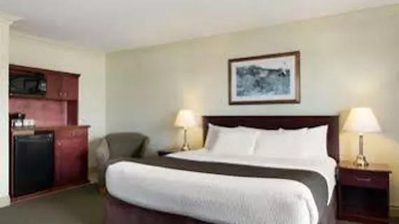 Days Inn & Suites Whitecourt | Alberta - Whitecourt (ve civarı) - Whitecourt