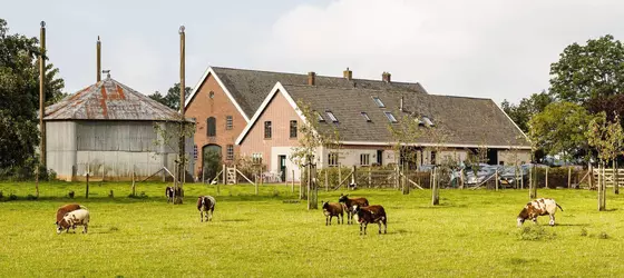 De Nachtdijk | Utrecht (vilayet) - Cothen