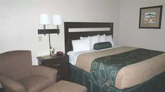 Oak Tree Inn | Missouri - Columbia (ve civarı) - Jefferson City