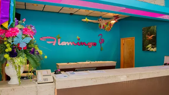 The Flamingo Resort - Gay Adult Resort | Florida - St. Petersburg - Clearwater (ve civarı) - St. Petersburg