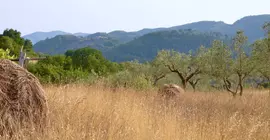 La Locanda del Tempo | Umbria - Perugia (vilayet) - Spoleto