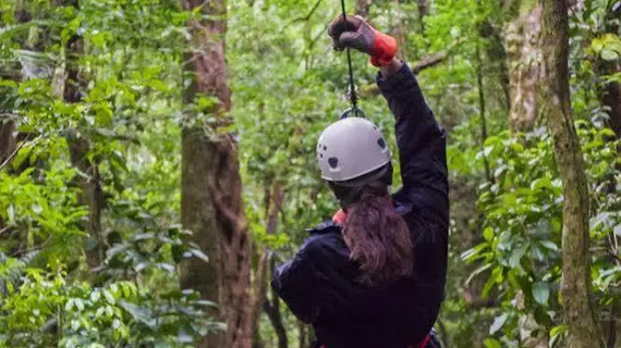 Cloud Forest Lodge | Puntarenas (ili) - Monteverde