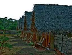 Gaga Bees Yala | Southern Province - Hambantota Bölgesi - Tissamaharama