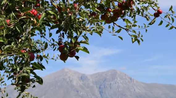 Villa Palentina Country House | Abruzzo - L'Aquila (il) - Scurcola Marsicana