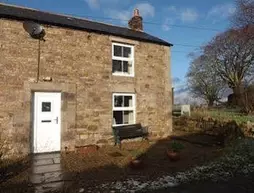 Hillis Close Farm | Northumberland (kontluk) - Haltwhistle