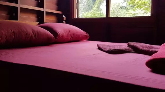 Phanom Bencha Mountain Resort | Krabi İli - Krabi