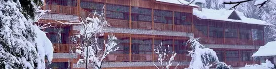 Negis Hotel Mayflower | Himaşal Pradeş - Manali (ve civarı) - Kullu