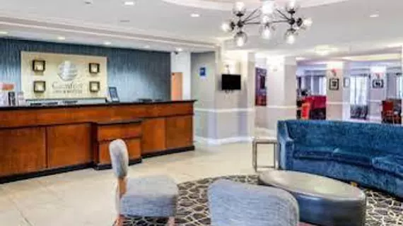 Comfort Inn & Suites Savannah Airport | Georgia - Savannah (ve civarı) - Savana