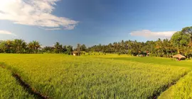 Mathis Retreat | Bali - Ubud - Kedewatan