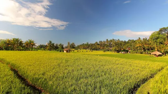 Mathis Retreat | Bali - Ubud - Kedewatan