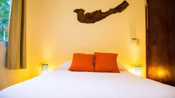 El Secreto Hotel | Quintana Roo - Solidaridad - Playa del Carmen - Centro